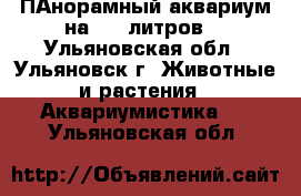 ПАнорамный аквариум на 250 литров. - Ульяновская обл., Ульяновск г. Животные и растения » Аквариумистика   . Ульяновская обл.